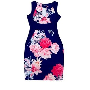 Blue & Pink floral dress